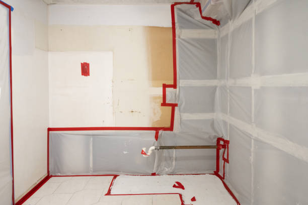 Best Comprehensive Air Testing for Mold Contaminants  in Costa Mesa, CA