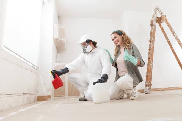 Best Post-Construction Mold Inspection  in Costa Mesa, CA